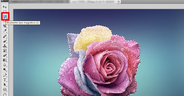 Lazo magnetico - Photoshop