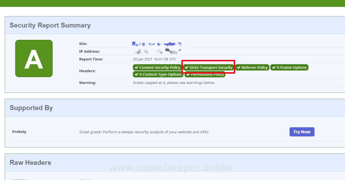 Strict-Transport-Security - WordPress