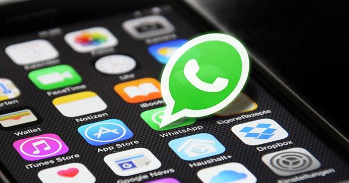 Come taggare su WhatsApp Come menzionare su WhatsApp