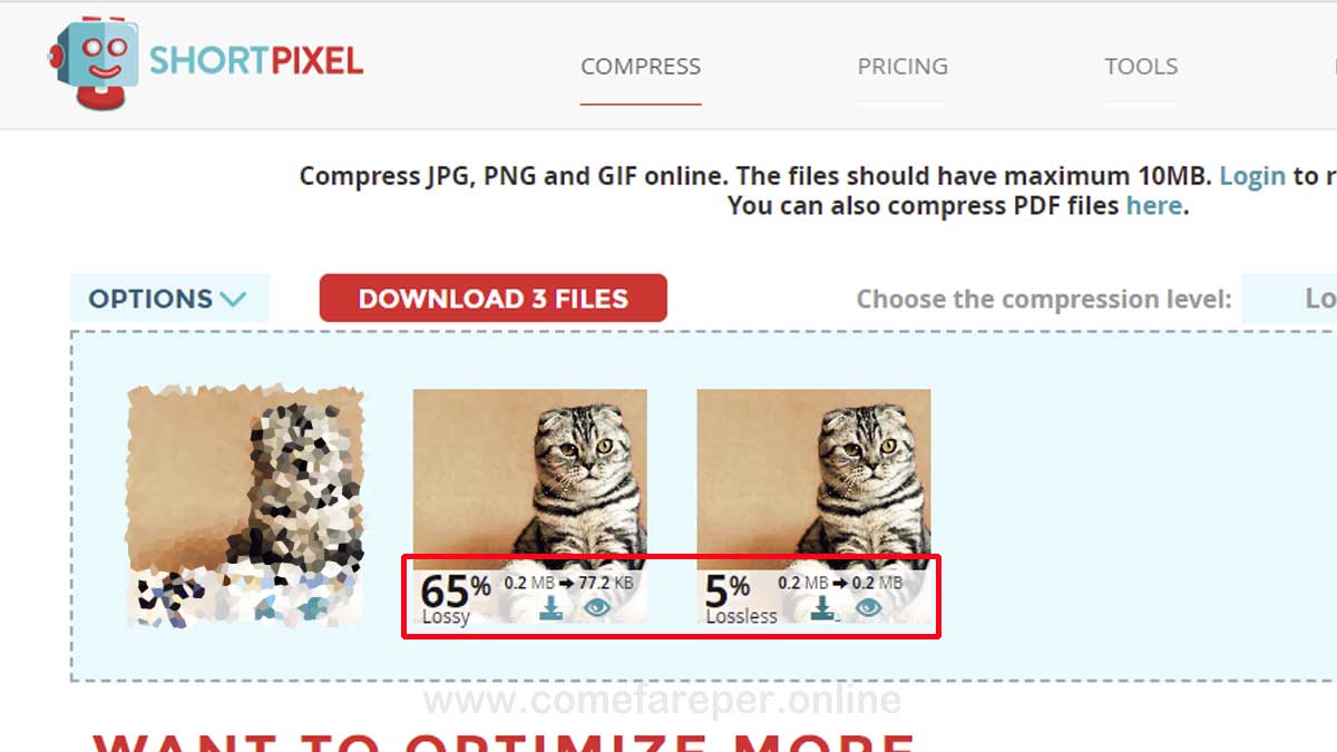 Differenza tra compressione lossy e lossless.
