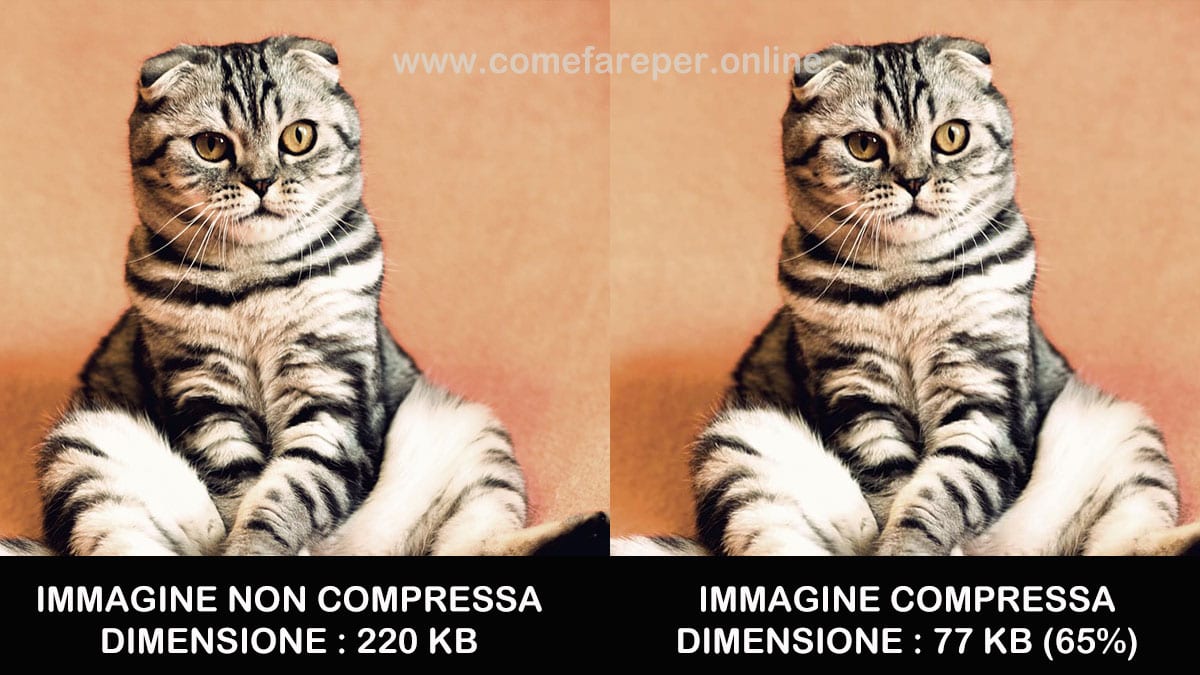 Cos'è la compressione lossy?