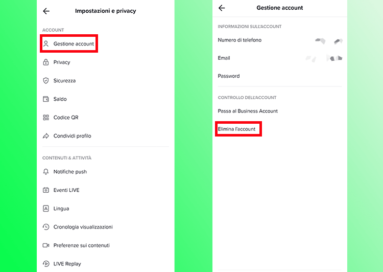 Come eliminare account TikTok.